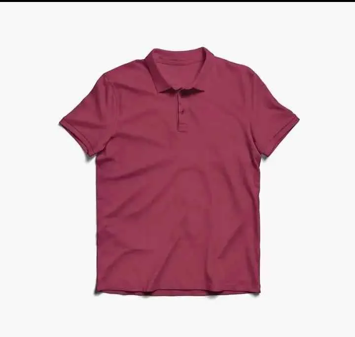 BUNDLE OF 2 POLO T-SHIRTS