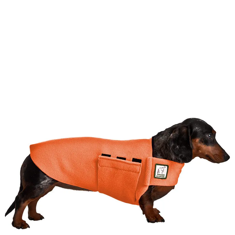 Miniature Dachshund Tummy Warmer