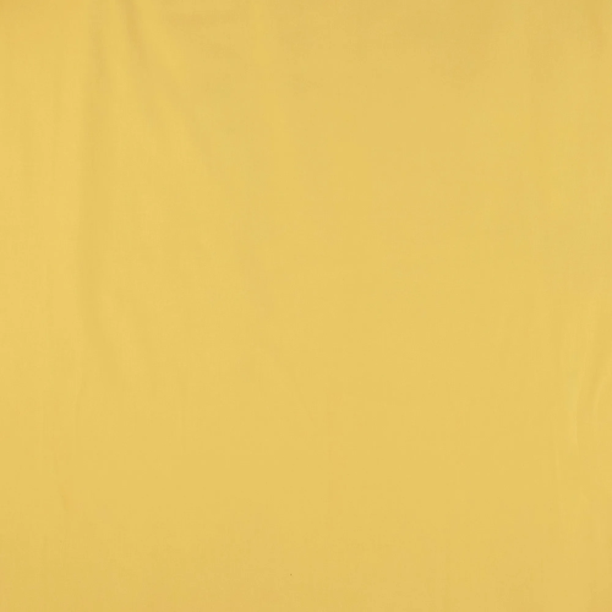 Suiting - NELLIE - 015 - Yellow